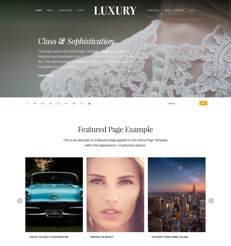 WordPress Luxury Theme